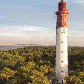 cap ferret