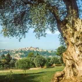 cagnes