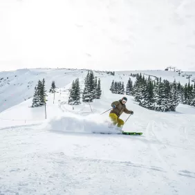 Skieur sur les pistes enneigées