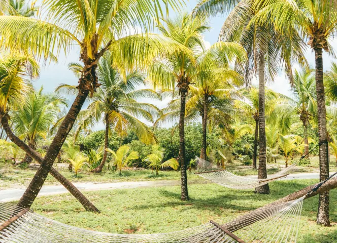 Bahamas plus voyage dans les Caraïbes