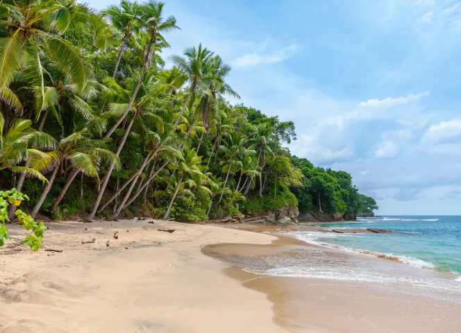 Au cœur du Panama avec l'ATC Routes du Monde