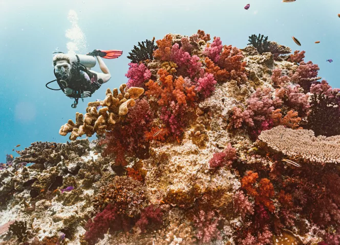 Les îles du Pacifique : Fidji