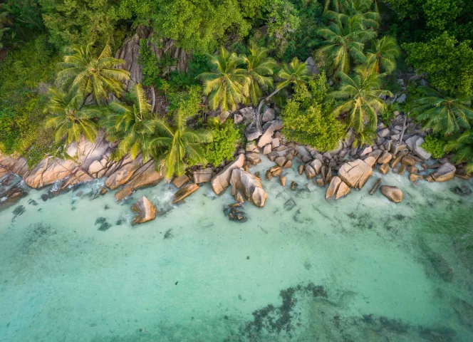Les îles de l'Océan Indien