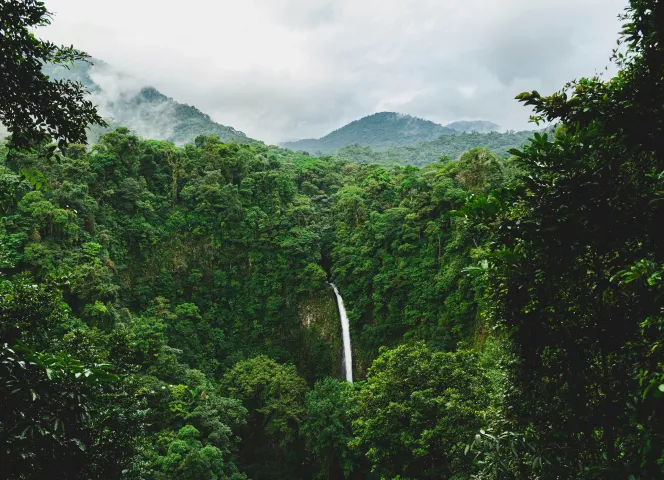 séjour nature au costa rica