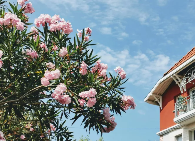 10 destinations incontournables pour cet été