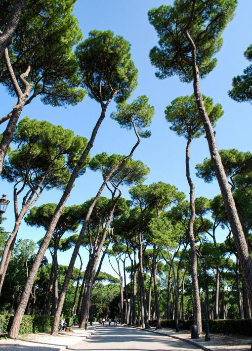 atc-blog-rome-parc-borghese