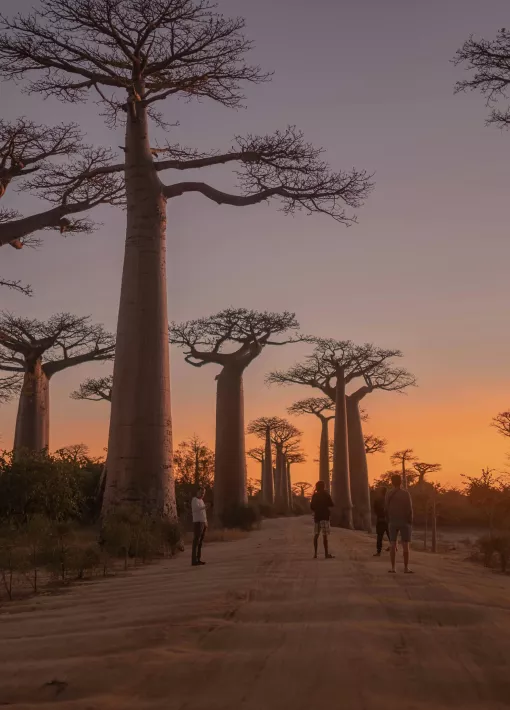 Nos inspirations ATC Routes du Monde