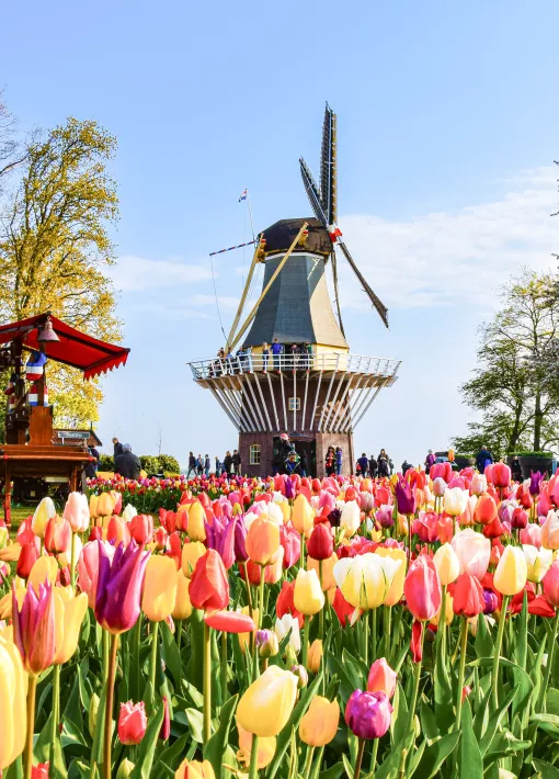 Amsterdam et les Pays-Bas en train