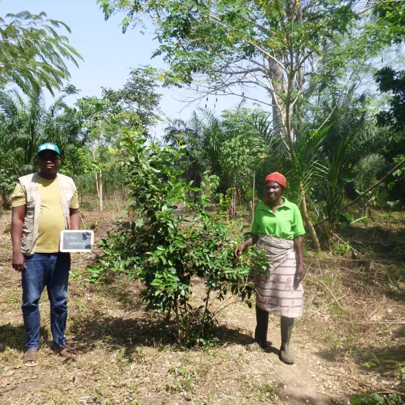 Notre projet au Togo