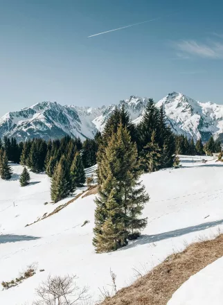 VILLAGE DE VACANCES SAINT FRANCOIS LONGCHAMP