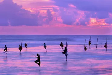 Galle