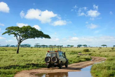 Le Parc national du Serengeti 