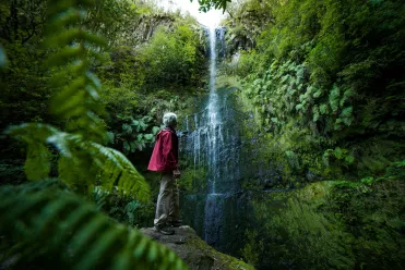 Levada du Chaudron Vert