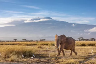 Mont Kilimandjaro