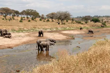 Parc national de Tarangire