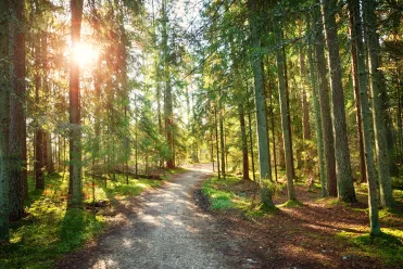 Parc national de Lahemaa