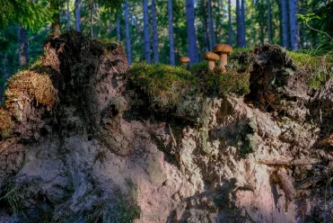 Parc national de Lahemaa