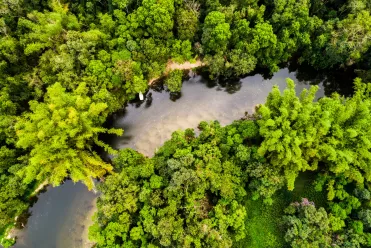 Amazonie vue du ciel
