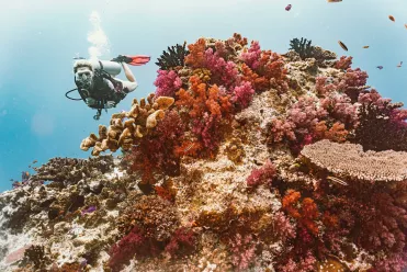 Les îles du Pacifique : Fidji
