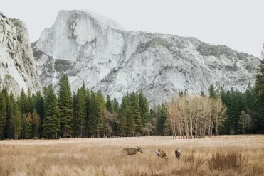 6 destinations pour un séjour nature