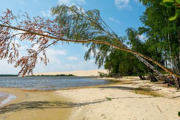 Voyager aux Pays Baltes : tout ce qu'il faut savoir