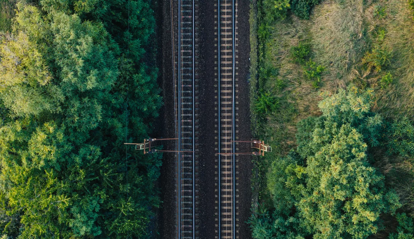 Rail de train dans un environnement arboré