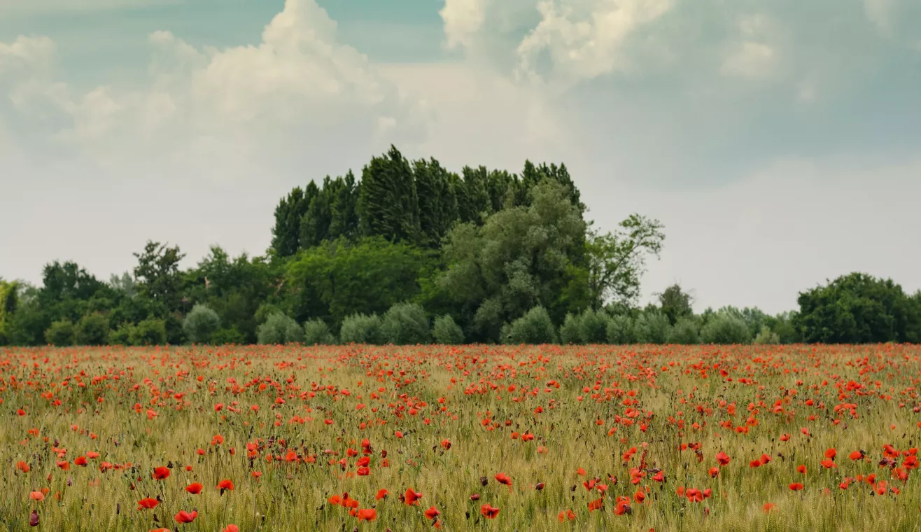 destinations pour un séjour nature
