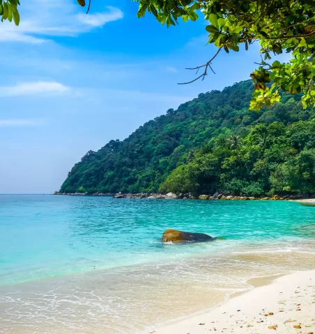 Guide pour un voyage en Malaisie