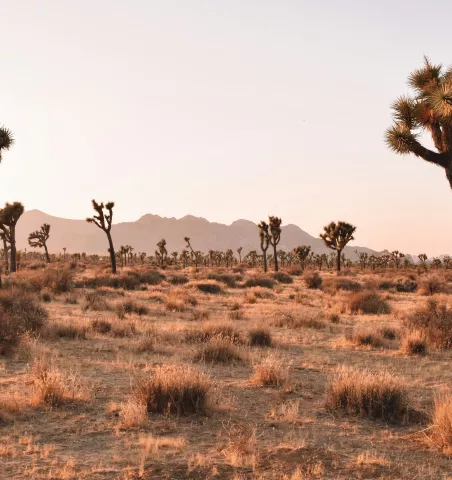 meilleurs circuits Amérique du Nord