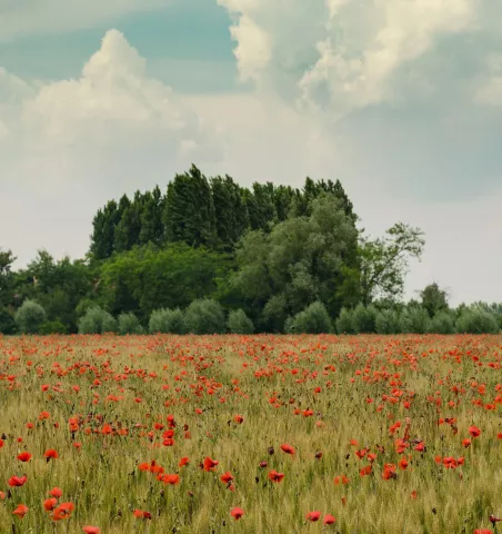 destinations pour un séjour nature