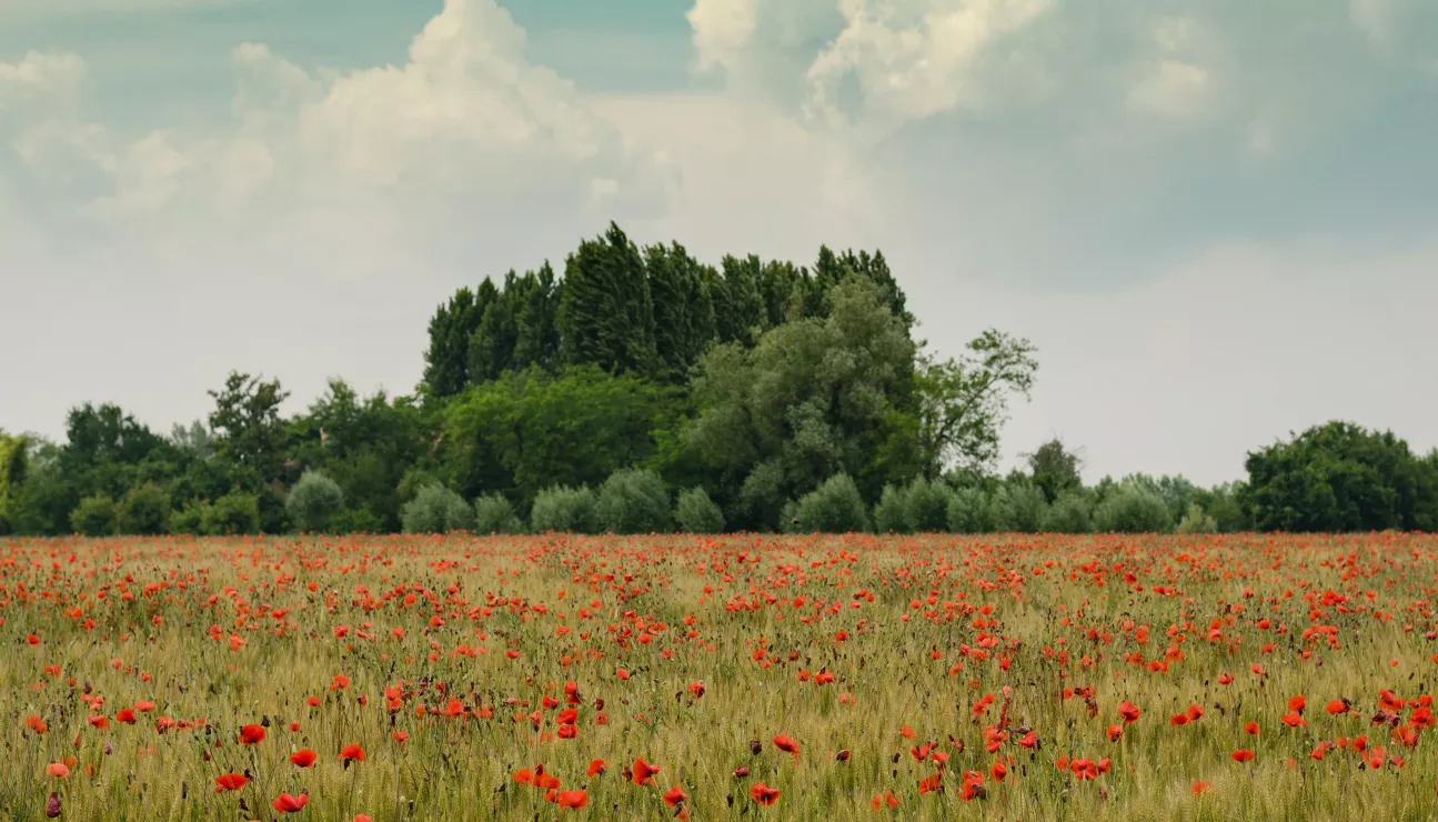 destinations pour un séjour nature