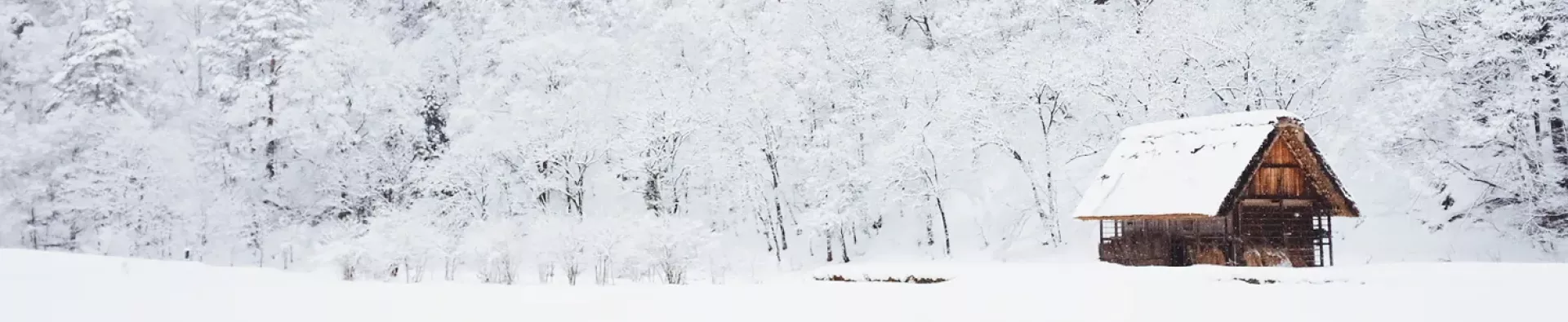 Cabane en bois entourée d'une forêt enneigée