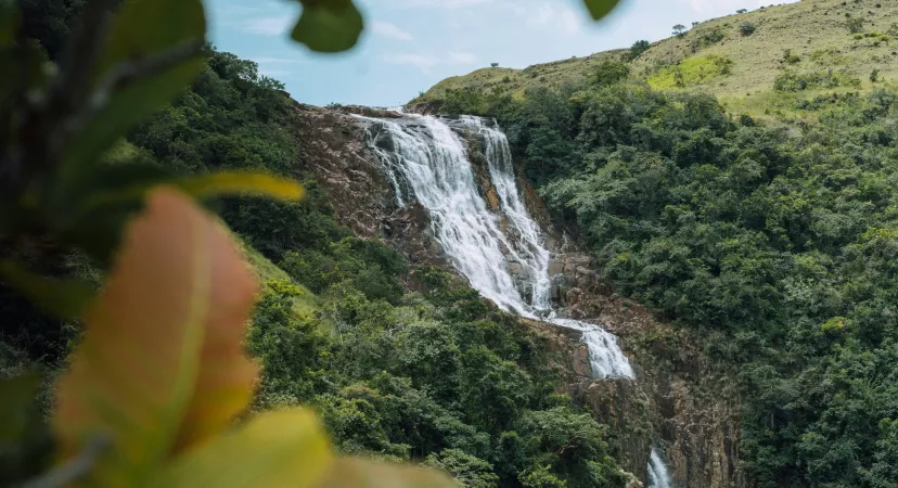 Au cœur du Panama avec l'ATC Routes du Monde