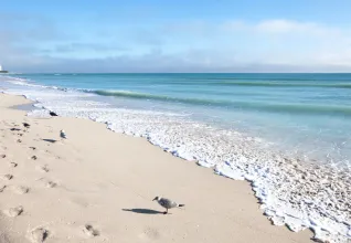 Plage de sable blanc à Miami