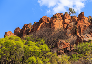 Otjiwarongo