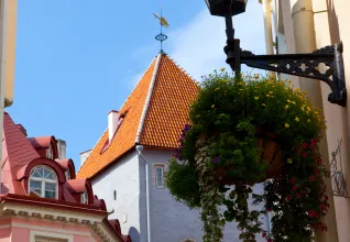 Les rues de Tallinn