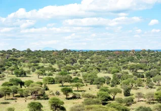Parc national de Tarangire