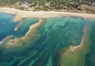 Plage Chaucre à Saint-Georges-d'Oléron