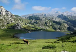 Les sommets montagneux de Bagnères-de-Bigorre