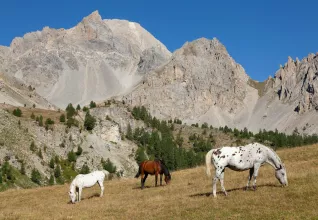 Massif du Queyras