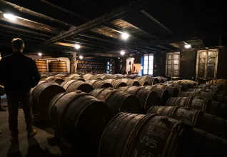 Élevage de cognacs