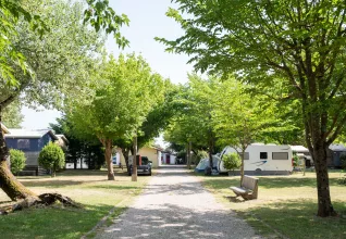 Allées camping ATC Arcachon - La Hume © Marine Monteils Photographe
