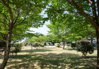 Allées camping ATC Arcachon - La Hume © Marine Monteils Photographe
