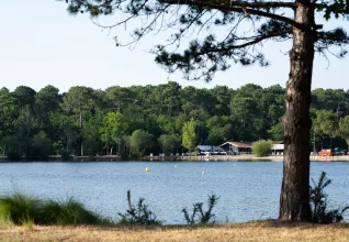 Lac dans le bassin d'Arcachon © Marine Monteils Photographe