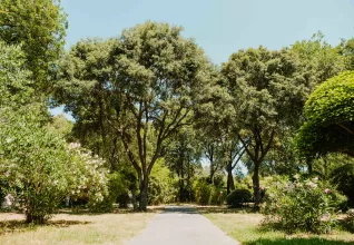 Camping 3 étoiles authentique et familial à Cagnes-sur-Mer sur la Côte d'Azur