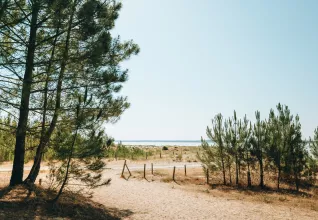 Camping l'orée des Bois île d'Oléron © Maéva Williot