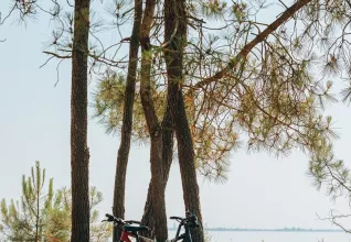 Camping l'orée des Bois île d'Oléron © Maéva Williot