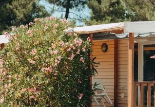 Camping l'orée des Bois île d'Oléron © Maéva Williot