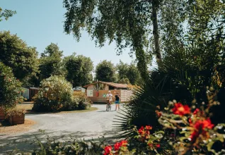 Camping l'orée des Bois île d'Oléron © Maéva Williot