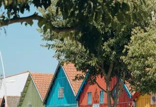 Camping l'orée des Bois île d'Oléron © Maéva Williot